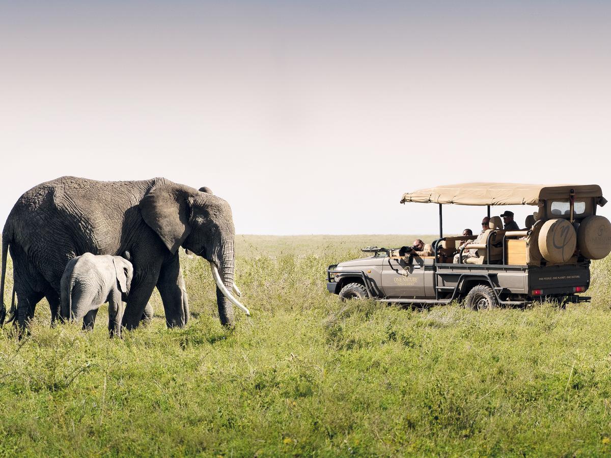 One Nature Nyaruswiga Serengeti Banagi Eksteriør billede